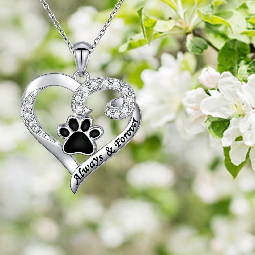 Dog Paw Necklace – Heart Design in Stainless Steel with Zirconia 2
