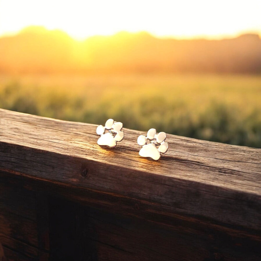 Hypoallergenic Paw Earrings – Made of Stainless Steel 2